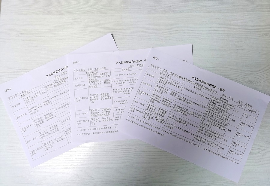 4黨員作風(fēng)自查自糾，填寫《個(gè)人作風(fēng)建設(shè)自查整改一覽表》.jpg